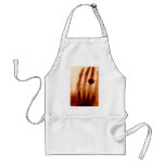 The First X-Ray, 1901, Photograph aprons