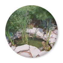 The fish pond... fridge magnet