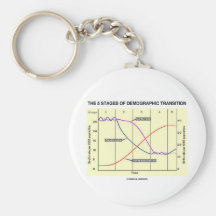 The Five Stages Of Demographic Transition Key Chain