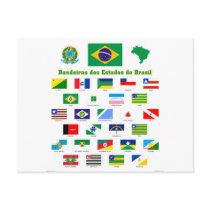 The Flags of Brazil