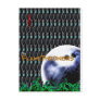 The FlameThrowers Post Cards