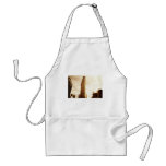 The Flatiron Building Apron