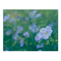 The Flax Fairy Postcards