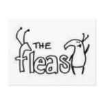 The Fleas Postcard