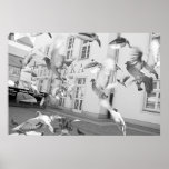 The Flock Posters
