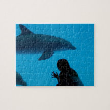 The Friendship Dolphin Puzzle