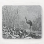 The frogs asking for a king, mousepads
