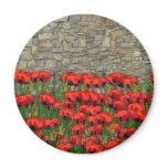 The Garden Wall magnets