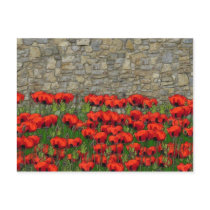 The Garden Wall Post Cards