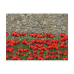 The Garden Wall postcards