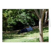 The Gardener Cards