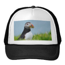 The Gatherer Puffin Hats