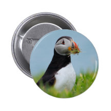The Gatherer Puffin Pinback Button