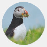 The Gatherer Puffin Sticker