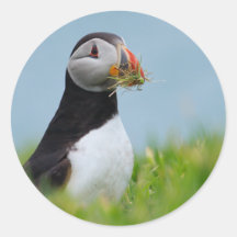 The Gatherer Puffin Sticker
