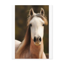 The gentle soul post card