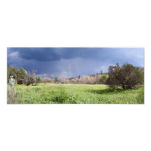 The Gila Photograph
