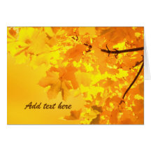 The Gold of Autumn Greeting Card