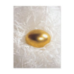The Golden Egg Postcard