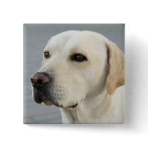 The Golden Labrador Pins