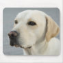 The Golden Labrador Mouse Pad
