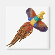 The Golden Pheasant Square Magnet