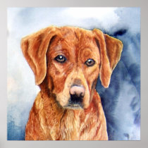 The Golden Retriever Fine Art Print