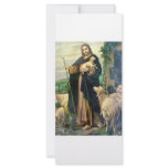 THE GOOD SHEPHERD 2 c. 1900 rack cards