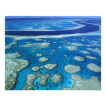 The Great Barrier Reef Announcement