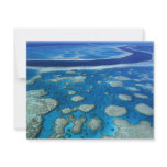 The Great Barrier Reef Announcement