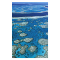 The Great Barrier Reef Stationery