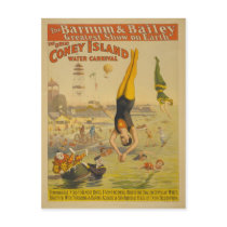 The Great Coney Island Water Carnival Poster