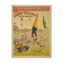 The Great Coney Island Water Carnival Poster postcards