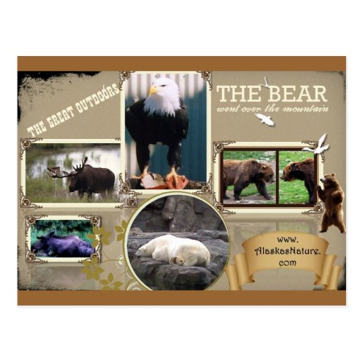 The Great Outdoors in Alaska Postcards