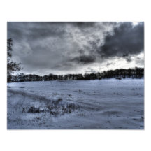 The Great White Plain Photo Print