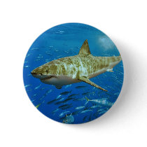 The Great White Shark Carcharodon Carcharias Buttons
