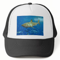 The Great White Shark Carcharodon Carcharias Mesh Hats