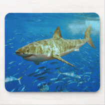 The Great White Shark Carcharodon Carcharias Mousepads