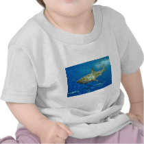 The Great White Shark Carcharodon Carcharias Tee Shirt