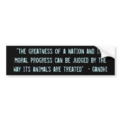 "The greatness of a nation..." Bumper Stickers by Sincerelyred143