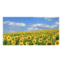 The_Greatness_of_Nature_(5) Photo Card Template
