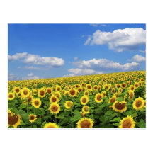 The_Greatness_of_Nature_(5) Post Card