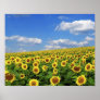 The_Greatness_of_Nature_(5) Posters