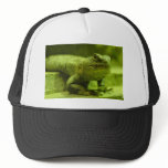 The Green Lizard Hat