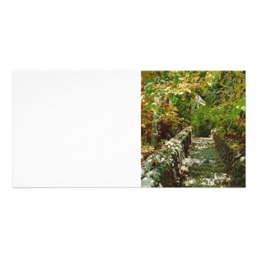 The Green Stairway Photo Card Template
