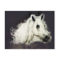 The Grey Post Card