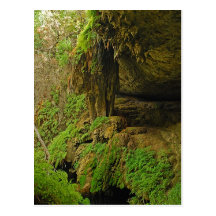 The Grotto at Westcave Preserve Post Cards