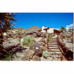 The Guest House, Scotty's House photo sculptures