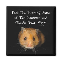 The Hamster