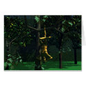 The Hanged Man cards
